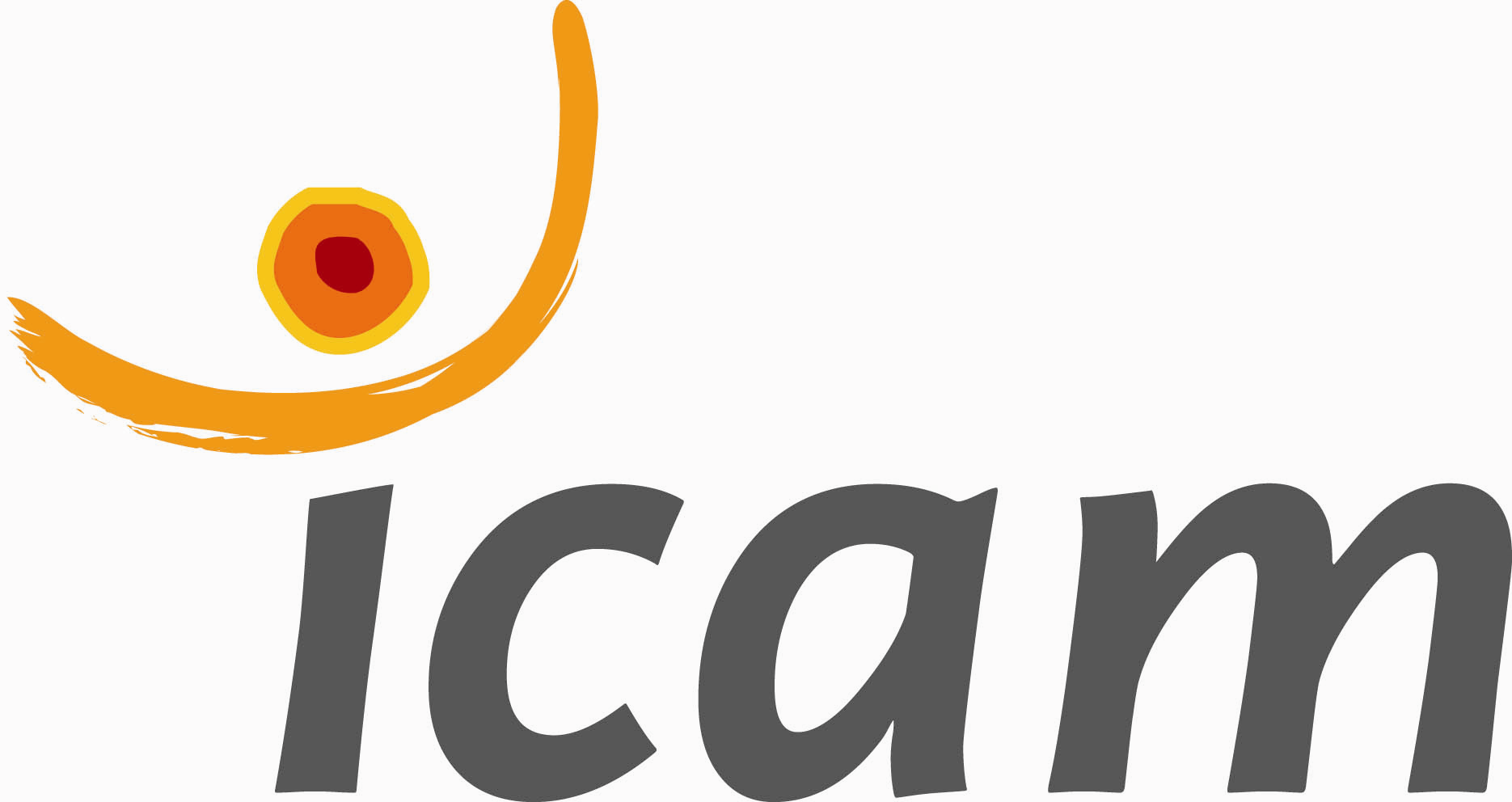 Logo ICAM 2008